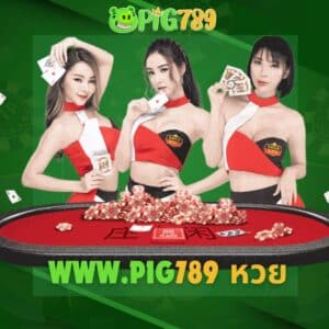 www.pig789 หวย
