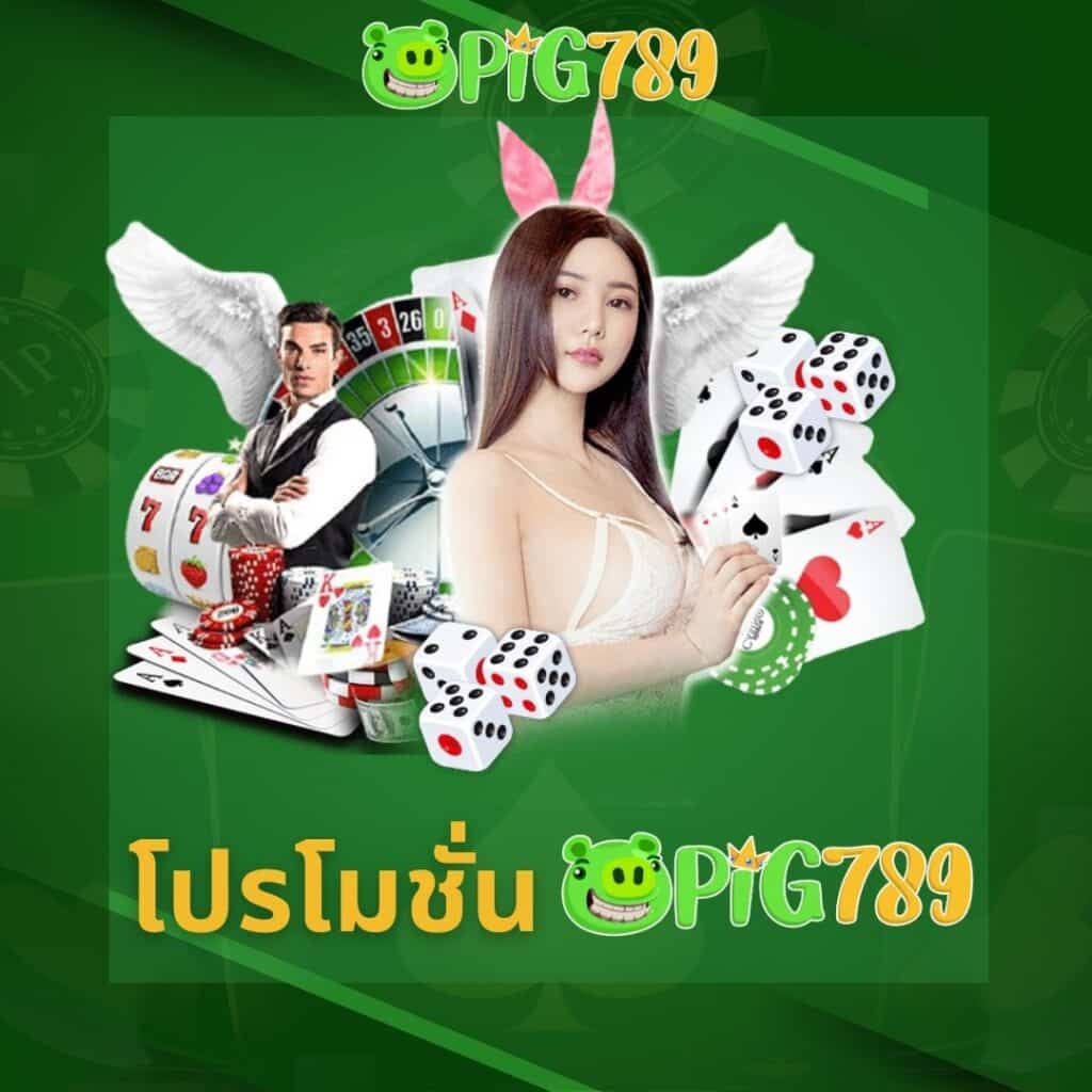 promotion-pig789